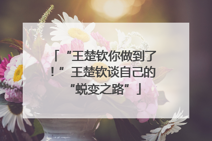 “王楚钦你做到了！”王楚钦谈自己的“蜕变之路”